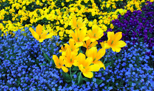 702952 (a): :2600x1545